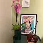 Vatican Green R-Home